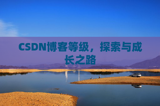 CSDN博客等级,探索与成长之路